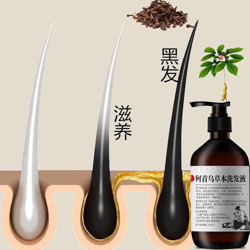 300ml Polygonum multiflorum sz – Hair Care Herbal recenzja i cena